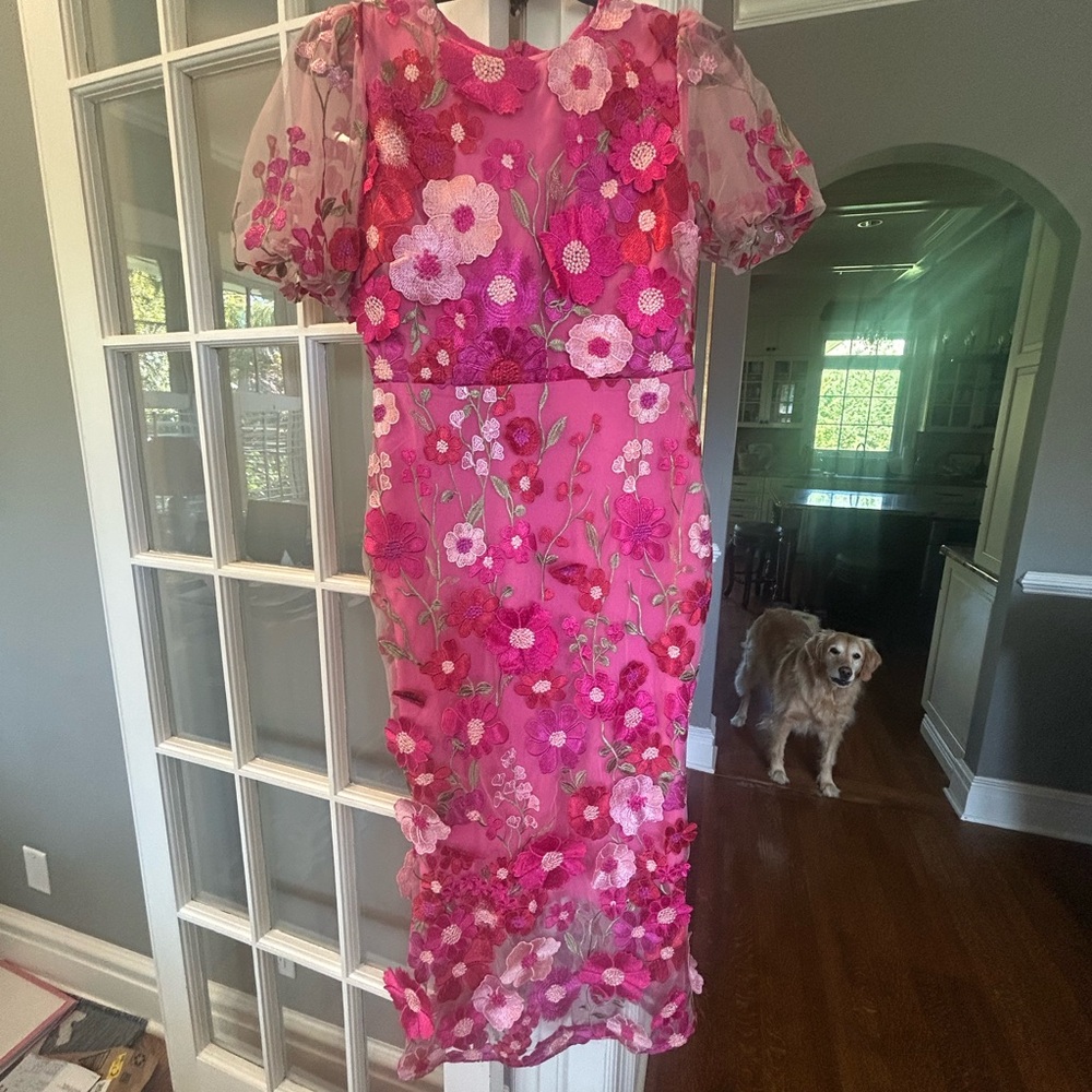Floral Embroidered Pink Dress